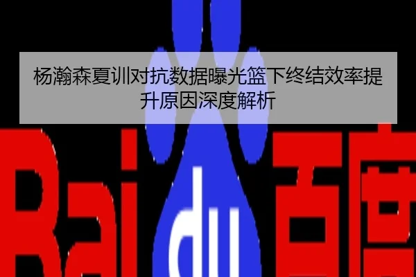 杨瀚森夏训对抗数据曝光篮下终结效率提升原因深度解析（HUOBOSPORTS）